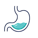 Digestion