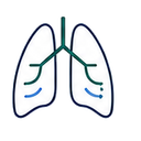 Respiration
